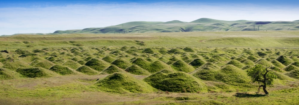 Mound son a landscape Corral Hollow San Joaquin County California USA Canvas Art - Panoramic Images (13 x 36)