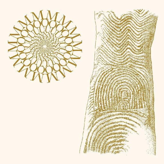 Moundabout - Flowers Rot Bring Me Stones - Music & Performance - Vinyl