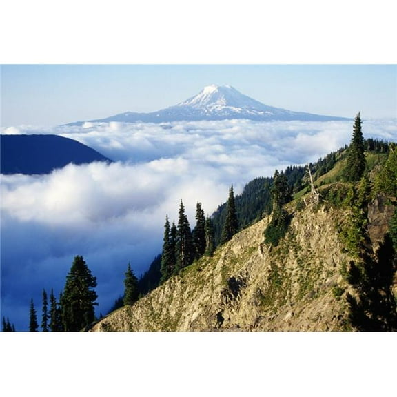 Mount Adams Above Cloud-Filled Valley Washington United States of America Poster Print by Dan Sherwood, 36 x 24 - Large