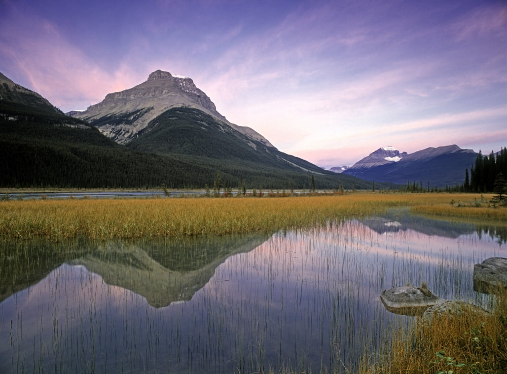 Mount Amery And Mount Athabasca At Rampart Ponds Banff National Park Alberta Canada Canvas Art - Darwin Wiggett Design Pics (16 x 12)