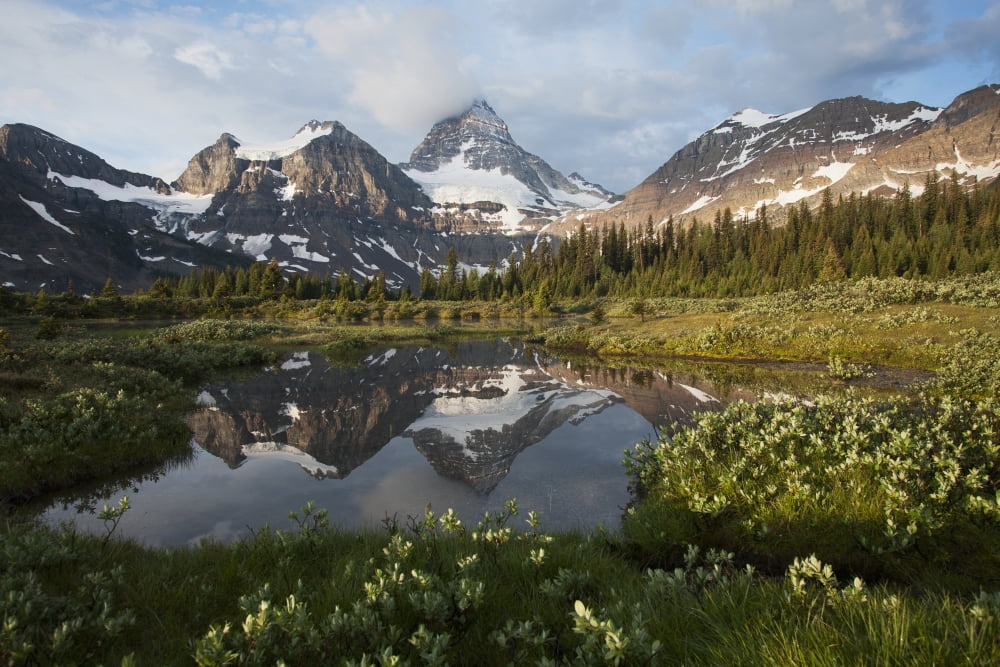 Mount Assiniboine and surrounding mountains in Mount Assiniboine Provincial Park British Columbia Canada Canvas Art - Carl Bruemmer Design Pics (19 x 12)