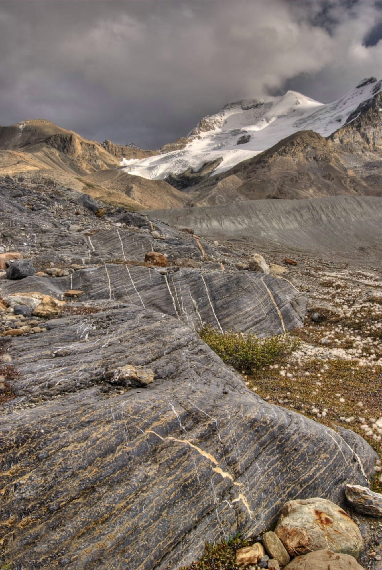 Mount Athabasca Jasper National Park Alberta Canada Canvas Art - Philippe Widling Design Pics (22 x 34)
