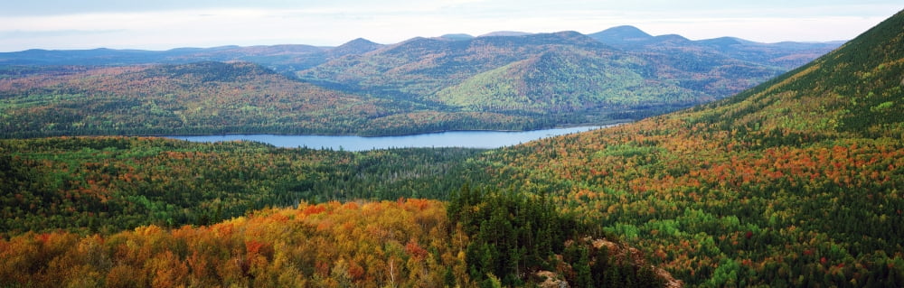 Mount Bailey Overlook Mount Carleton Provincial Park New Brunswick Canvas Art - Ron Watts Design Pics (36 x 12)