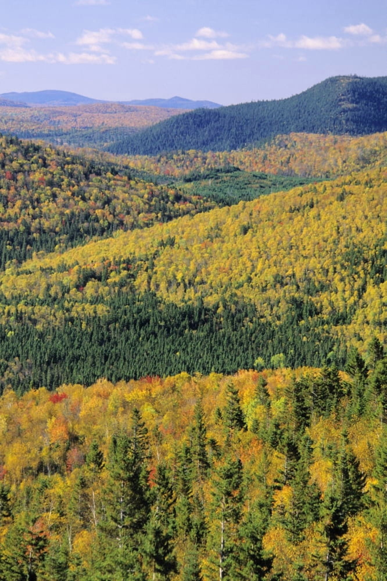Mount Bailey Overlook Mount Carleton Provincial ParkNew Brunswick Canvas Art - Ron Watts Design Pics (11 x 17)