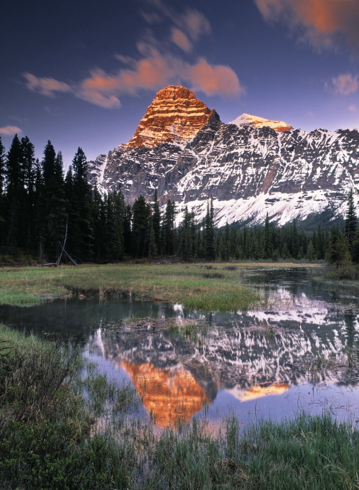 Mount Chephren And Mistaya River Oxbow Banff National Park Alberta Canvas Art - Darwin Wiggett Design Pics (24 x 34)