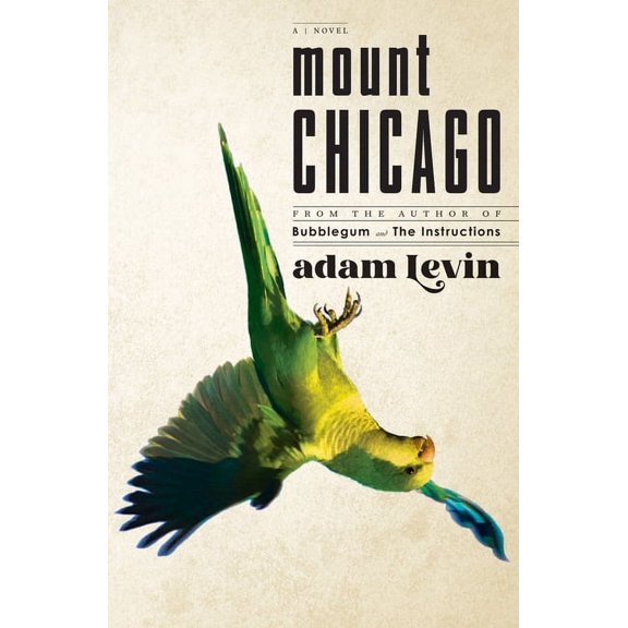 Mount Chicago : A Novel (Hardcover)