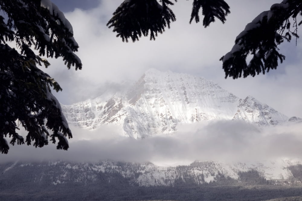 Mount Christie Jasper National Park Alberta Canada Canvas Art - Darwin Wiggett Design Pics (34 x 22)