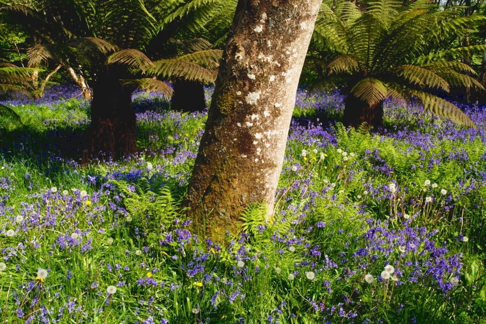 Mount Congreve Gardens County Waterford Ireland Canvas Art - Peter Zoeller Design Pics (19 x 12)