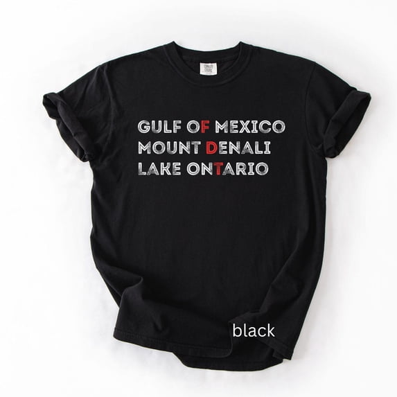 Mount Denali Lake Ontario Tee, Funny Great Lakes