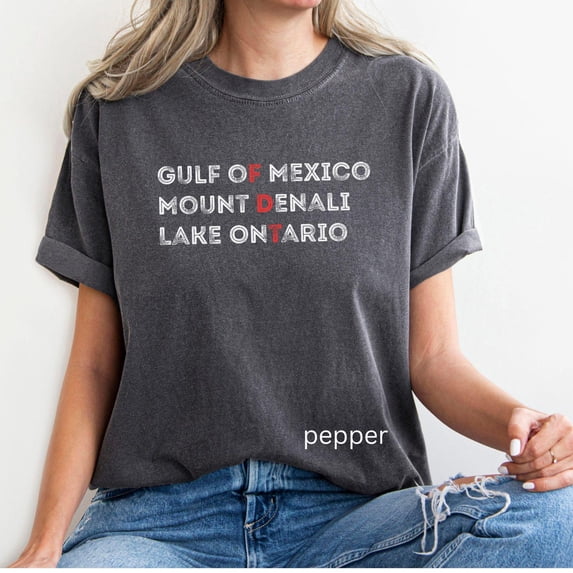 Mount Denali Lake Ontario Tee, Funny Great Lakes