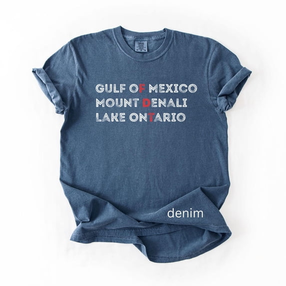 Mount Denali Lake Ontario Tee, Funny Great Lakes