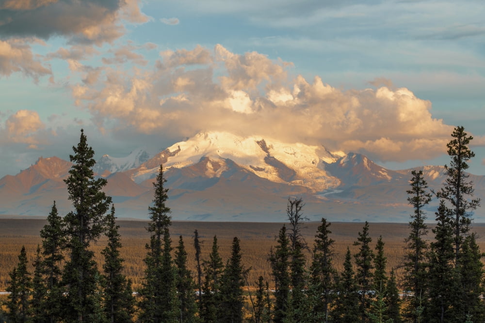 Mount Drum rises into the clouds off Tok Cutoff north of Glennallen Alaska United States of America Canvas Art - Zachary Sheldon Design Pics (38 x 24)