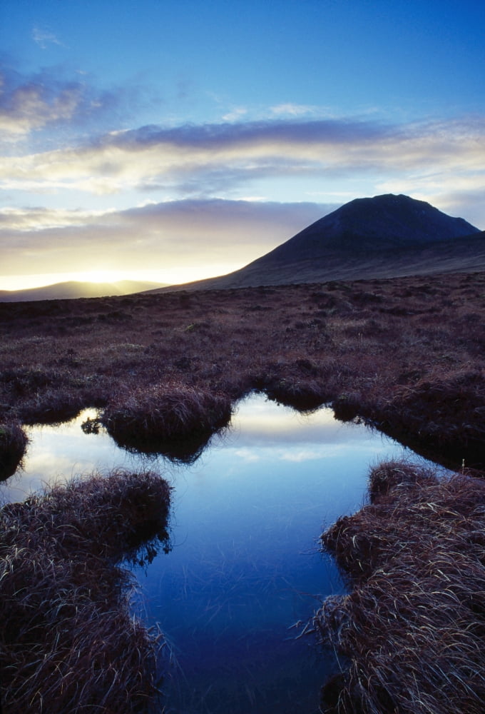 Mount Errigal County Donegal Ireland Marshland Scenic Canvas Art - Gareth McCormack Design Pics (24 x 36)