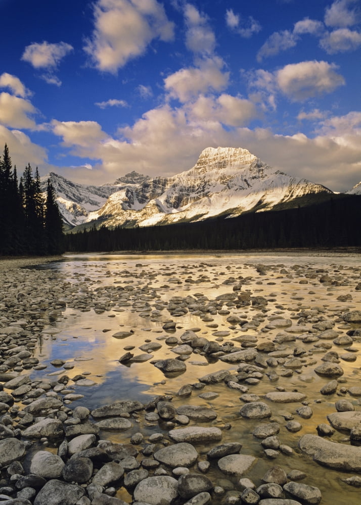Mount Fryatt And The Athabasca River Jasper National Park Alberta Canvas Art - Darwin Wiggett Design Pics (12 x 17)