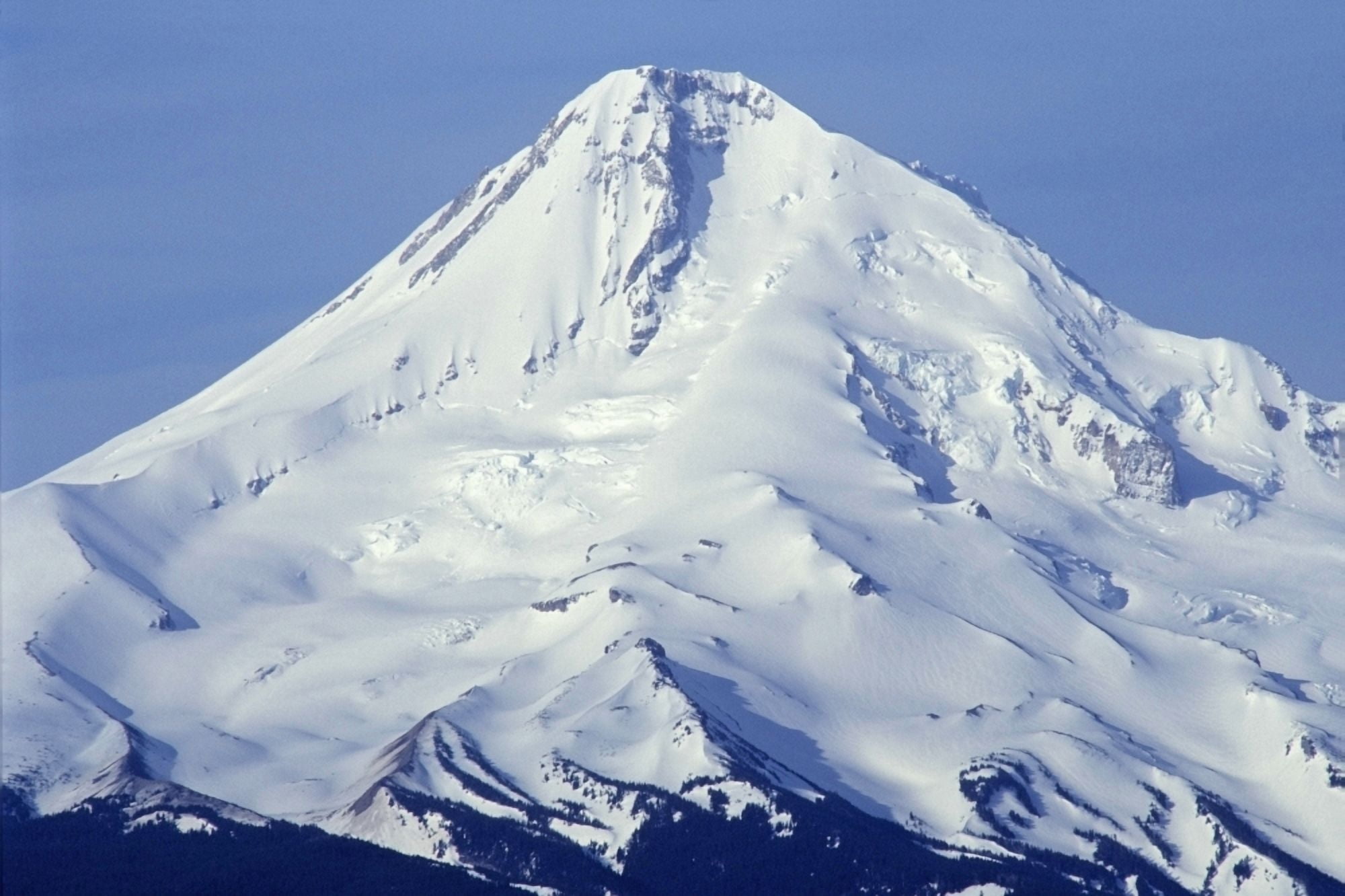 Mount Hood National Forest Oregon Usa Canvas Art - Dan Sherwood Design Pics (36 x 24)