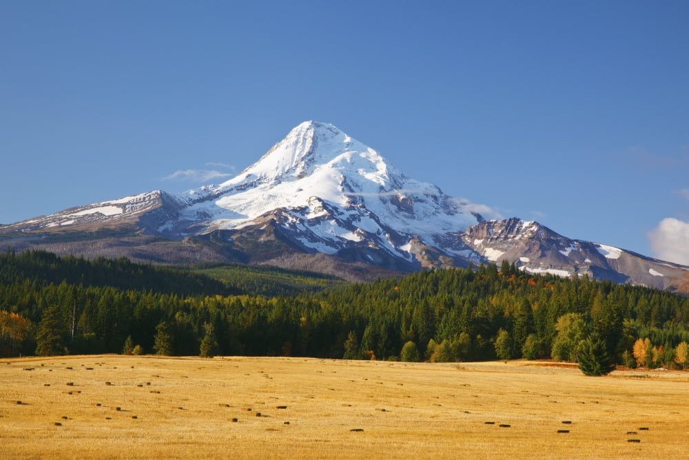 Mount Hood Oregon United States of America Canvas Art - Craig Tuttle Design Pics (38 x 24)