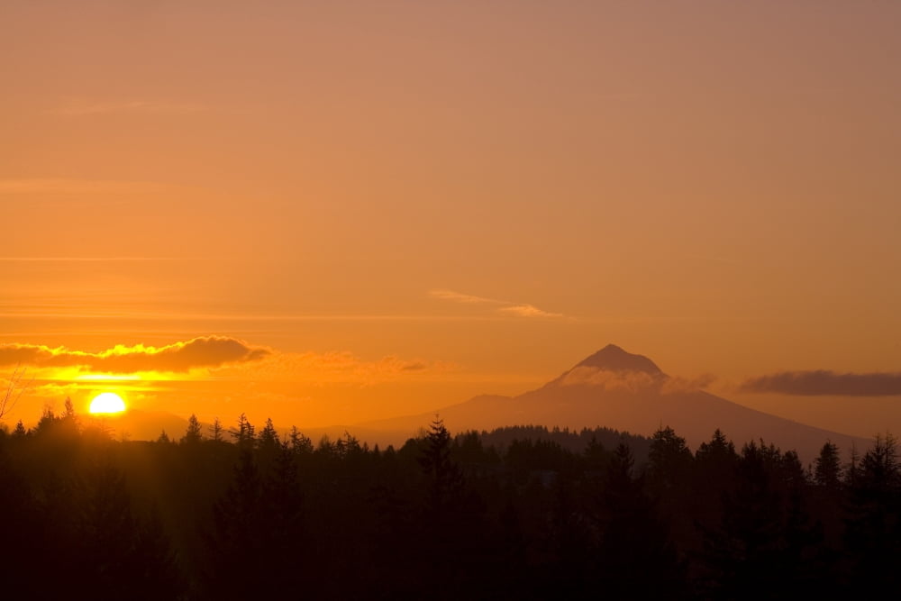 Mount Hood Oregon Usa Canvas Art - Craig Tuttle Design Pics (34 x 22)