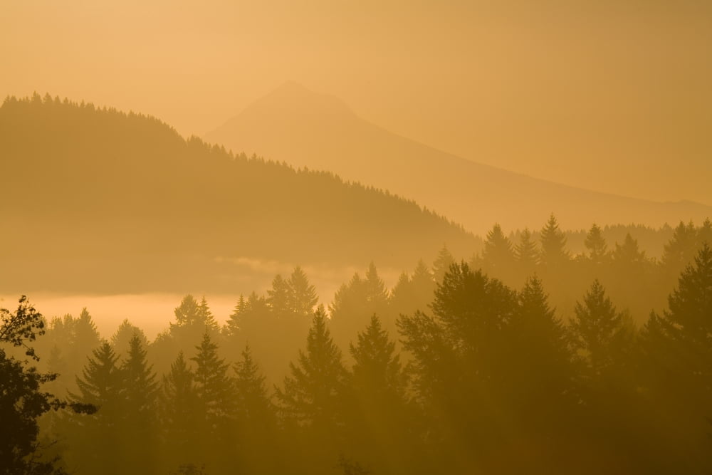 Mount Hood Oregon Usa Silhouetted Landscape At Sunrise Canvas Art - Craig Tuttle  Design Pics (40 x 26)
