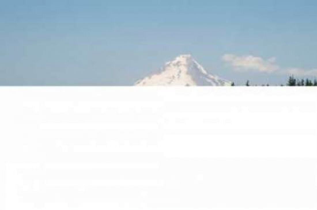 Mount Hood over Timothy Lake Canvas Art - Erin Berzel (20 x 28)