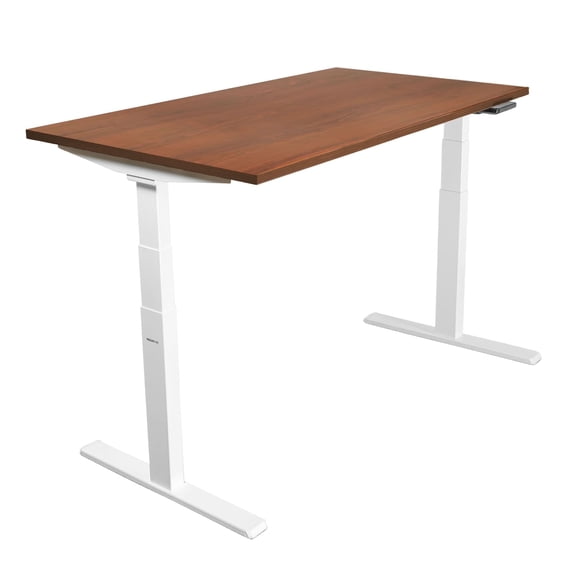 55 Inch Electric Standing Desk – Dual Motor Height Adjustable Sit Stand Desk with White Frame, Memory Presets, Anti-Collision & Cable Management – Ergonomic Home Office Workstation, Black