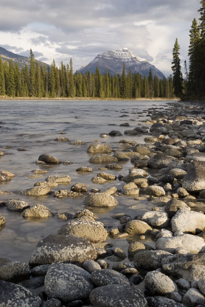 Mount Kerkeslin Jasper Alberta Canada Canvas Art - Philippe Widling Design Pics (22 x 34)