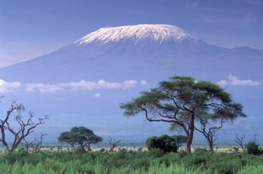 Mount Kilimanjaro Amboseli National Park Kenya Canvas Art - Art Wolfe  DanitaDelimont (24 x 15)