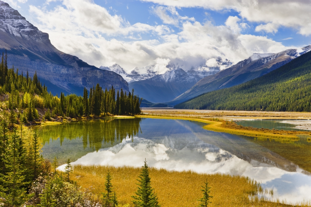 Mount Kitchener Reflected In Pond Near Beauty Creek Hostel Jasper National Park Alberta Canvas Art - Yves Marcoux Design Pics (17 x 11)