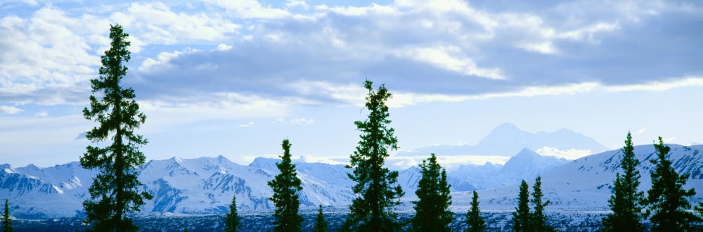 Mount McKinley Alaska Canvas Art - Panoramic Images (36 x 12)