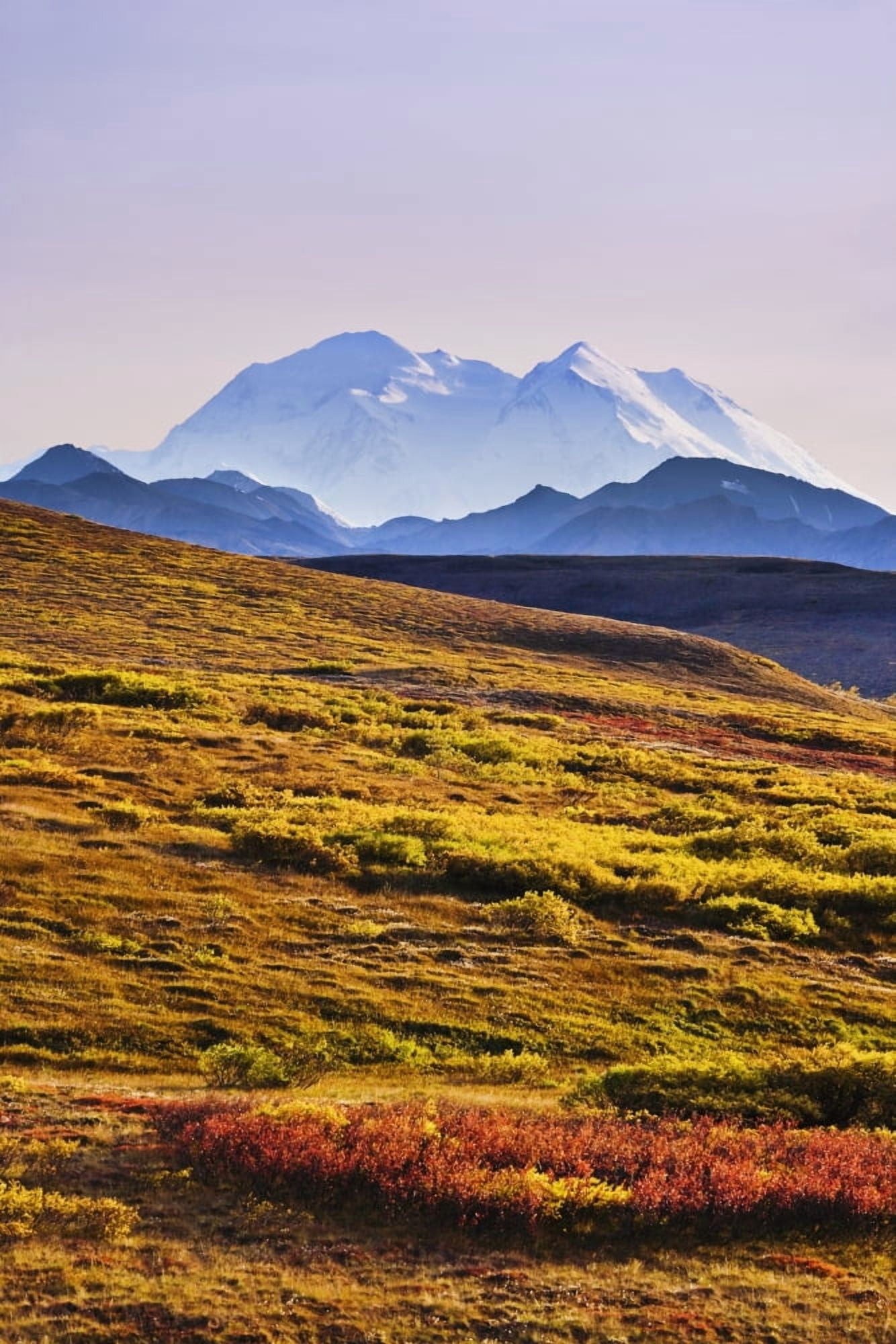Mount Mckinley Denali National Park Alaska Canvas Art - Yves Marcoux Design Pics (11 x 17)