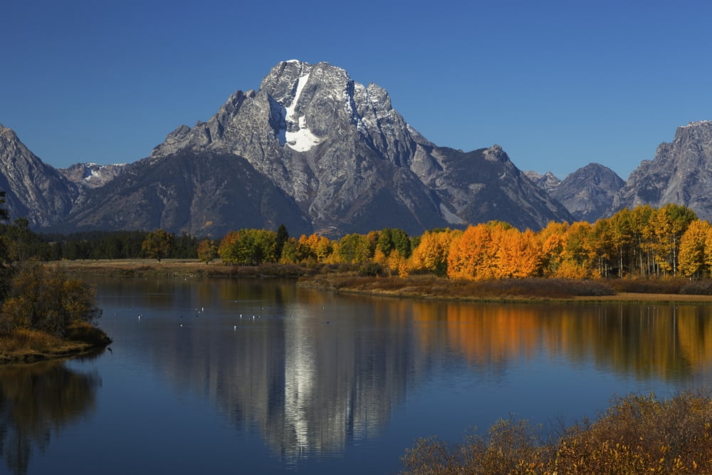 Mount Moran (elevation 12605 feet) from Ox Bow Bend Grand Teton National Park Wyoming United States of America Canvas Art - Ronald Phillips Design Pics (19 x 12)