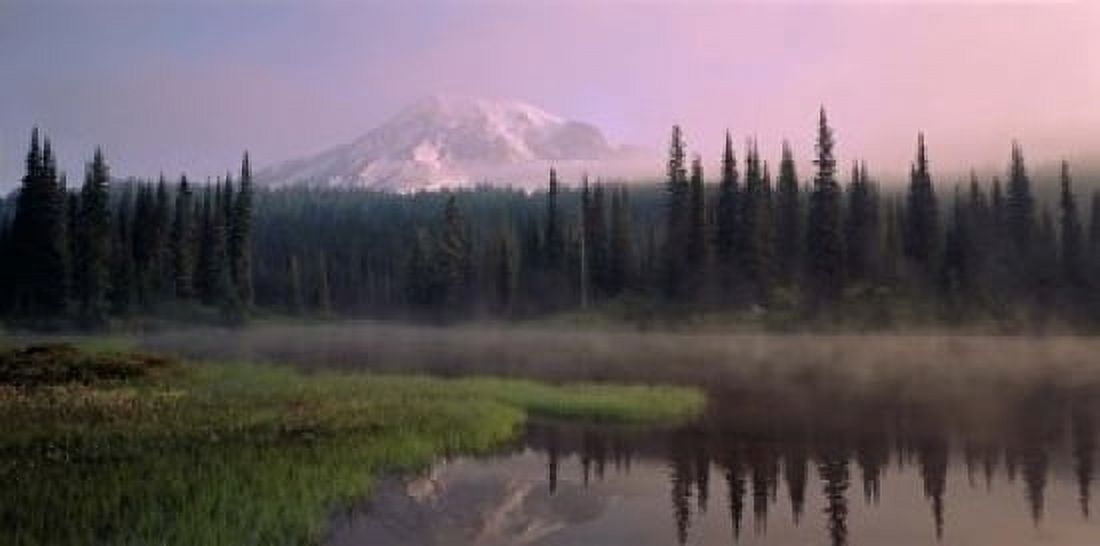 Mount Rainier National Park Washington Canvas Art - Panoramic Images (25 x 12)