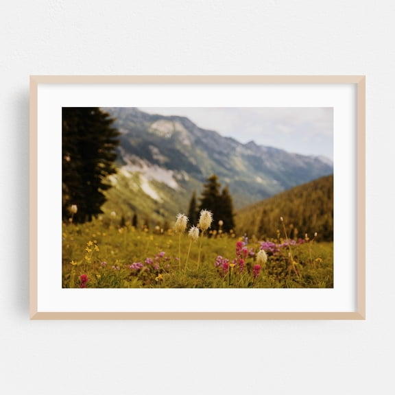 Mount Rainier National Park Wildflowers - Washington Photography Mountain Nature Floral Landscape Scenic Wilderness Wildlife Oak Framed Wall Art Print 5 x 7 inches