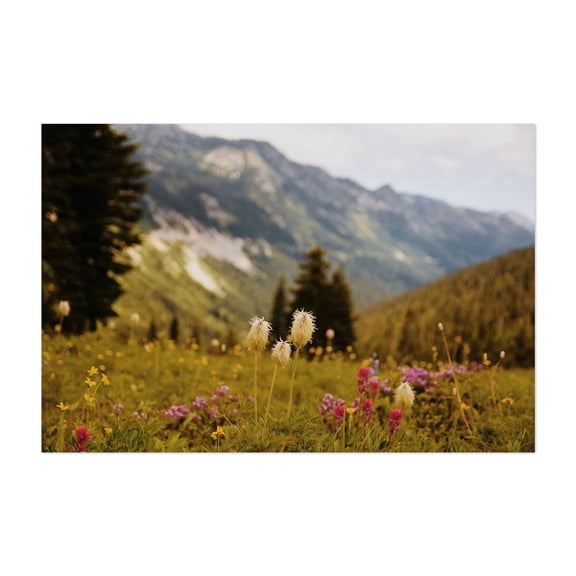 Mount Rainier National Park Wildflowers - Washington Photography Mountain Nature Floral Landscape Scenic Wilderness Wildlife Unframed Wall Art Print 8 x 12 inches
