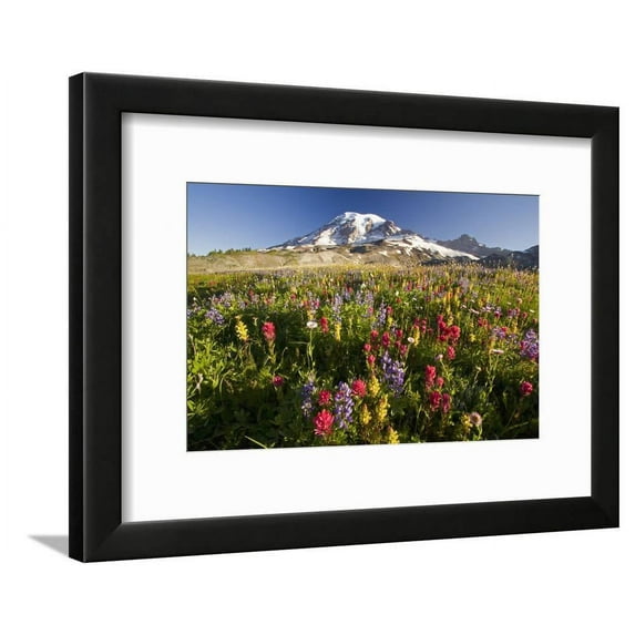 Mount Rainier and Wildflowers, Framed Art Print Wall Art by Craig Tuttle Sold by Art.Com