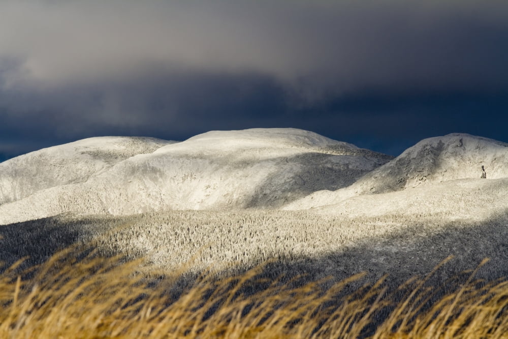 Mount Richardson Covered With Snow In Late Fall In Gaspesie National ParkQuebec Canada Canvas Art - Philippe Henry Design Pics (38 x 24)