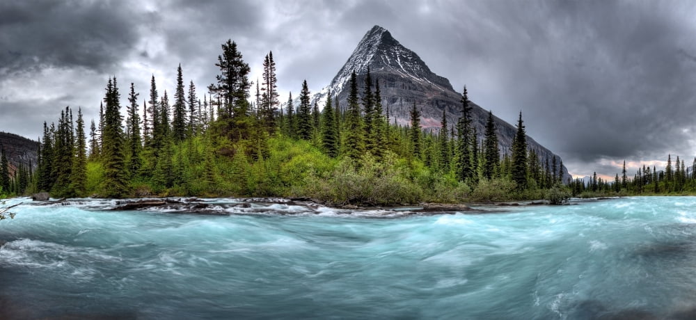 Mount Robson Mount Robson Provincial Park Jasper Alberta Canada Canvas Art - Clarke Wiebe Design Pics (44 x 20)