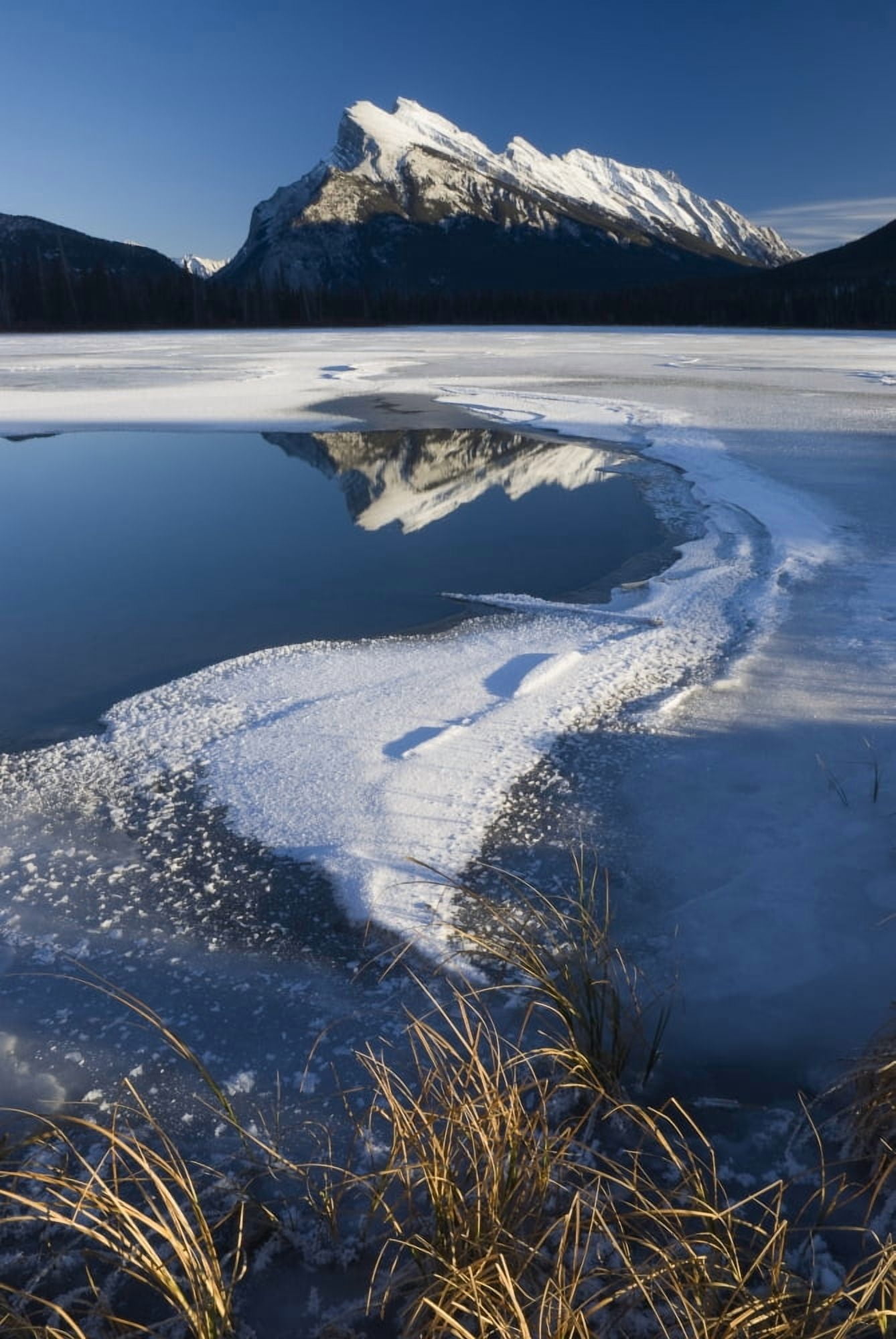 Mount Rundle Banff National Park Banff Alberta Canvas Art - Philippe Widling Design Pics (22 x 34)