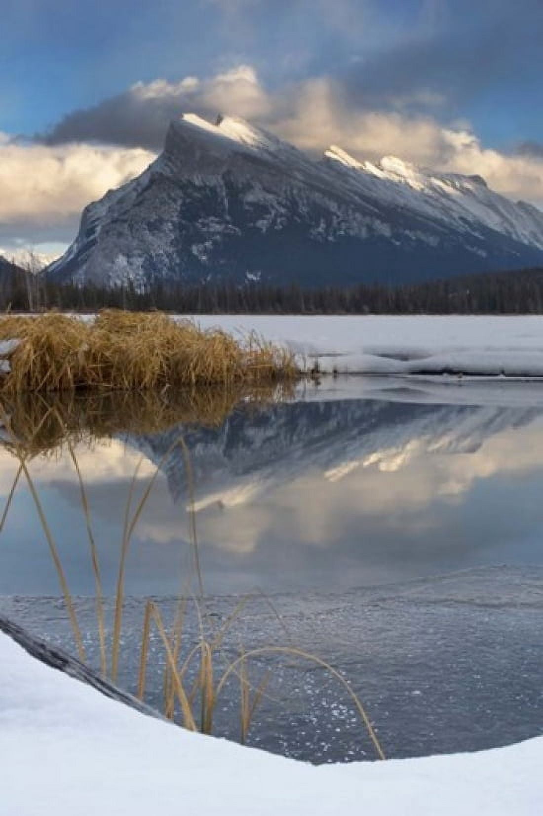 Mount Rundle Vermillion Lake Banff NP Alberta Canvas Art - Paul Colangelo DanitaDelimont (17 x 26)