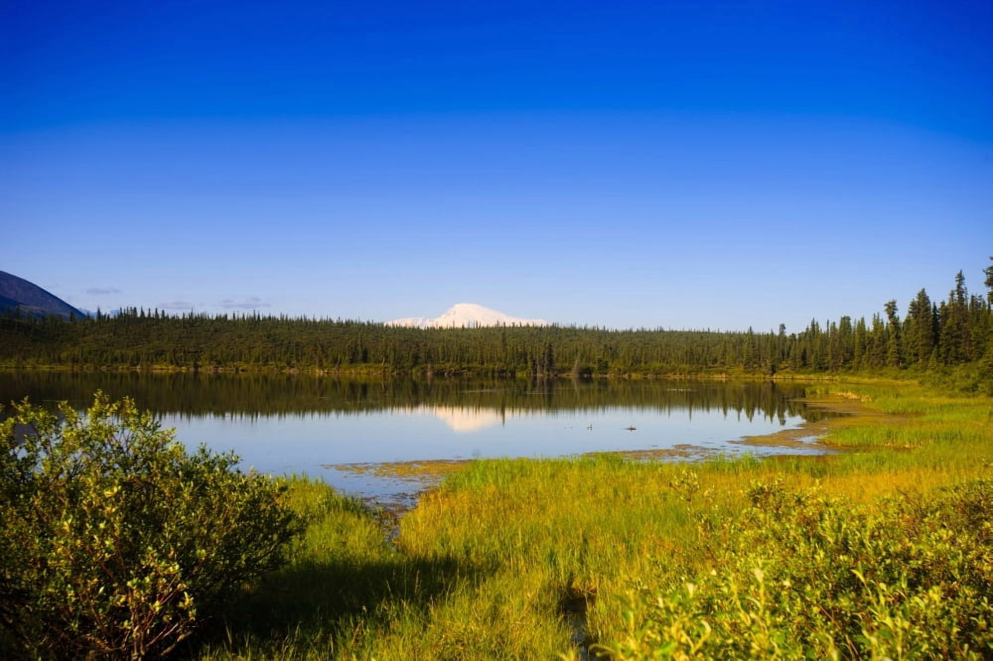 Mount Sanford Reflecting In Twin Lakes Wrangell Saint Elias National Park Southcentral Alaska Summer Canvas Art - Michael Jones Design Pics (19 x 12)