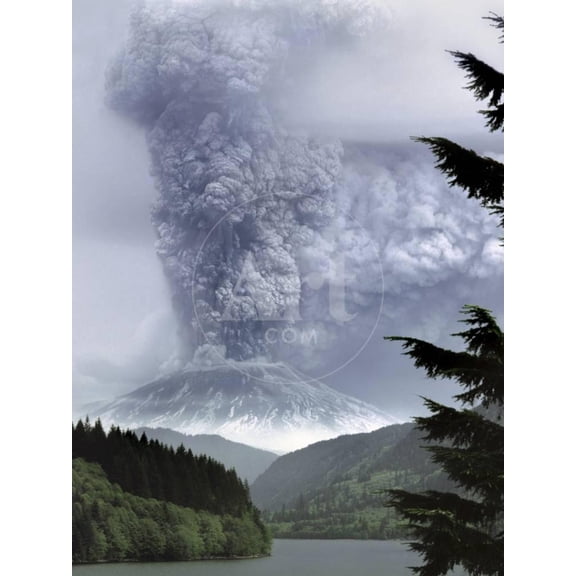 Mount St Helens Eruption, Botanical Scenic Unframed Photographic Print Wall Art by Steve Terrill Sold by ArtCom