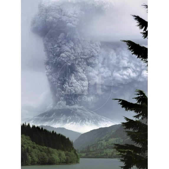 Mount St Helens Eruption, Botanical Scenic Unframed Photographic Print Wall Art by Steve Terrill Sold by ArtCom
