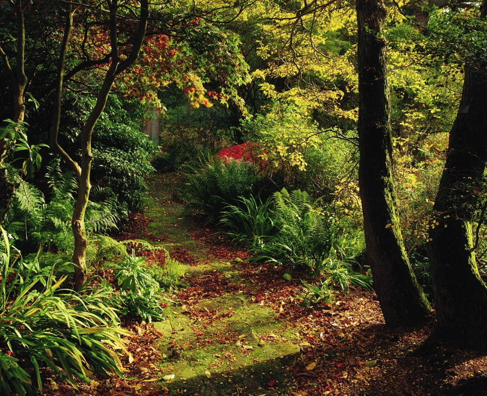 Mount Stewart Co Down Ireland Canvas Art - The Irish Image Collection Design Pics (17 x 13)