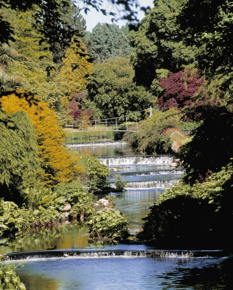 Mount Usher Gardens River Vartry Co Wicklow Ireland River Through A Garden Canvas Art - The Irish Image Collection Design Pics (12 x 15)