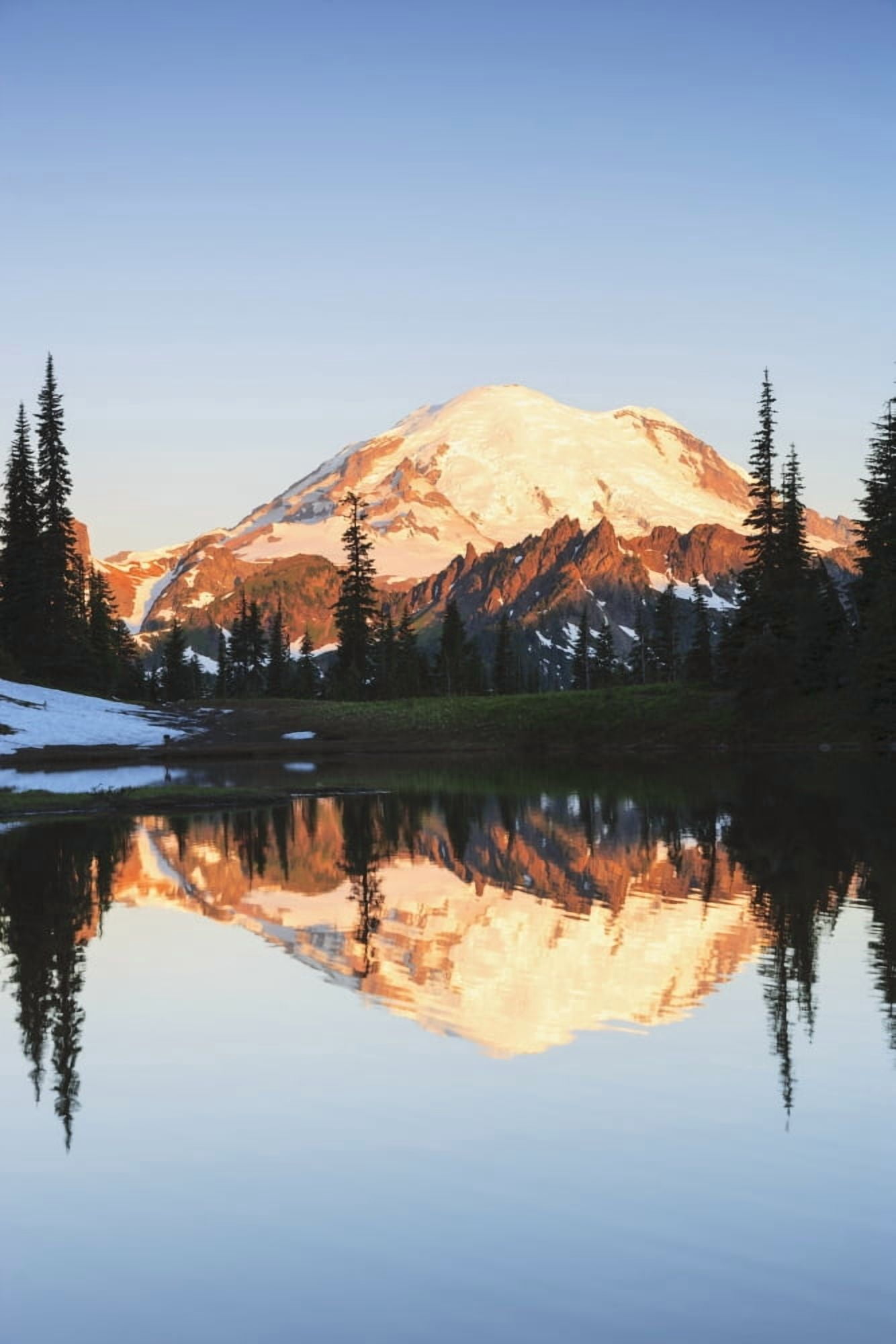 Mount rainier reflected in a pond at sunrise near tipsoo lake mount rainier national parkWashington united states of america Canvas Art - Stuart Westmorland  Design Pics (12 x 19)