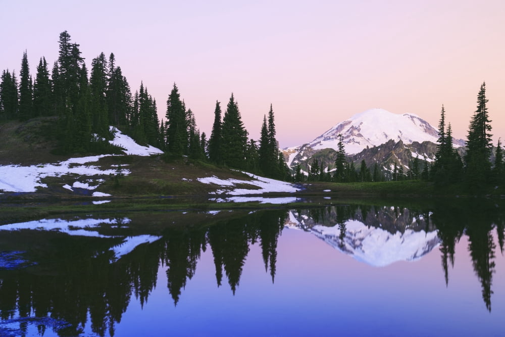 Mount rainier reflected in a pond at sunset near tipsoo lake mount rainier national parkWashington united states of america Canvas Art - Stuart Westmorland Design Pics (38 x 24)