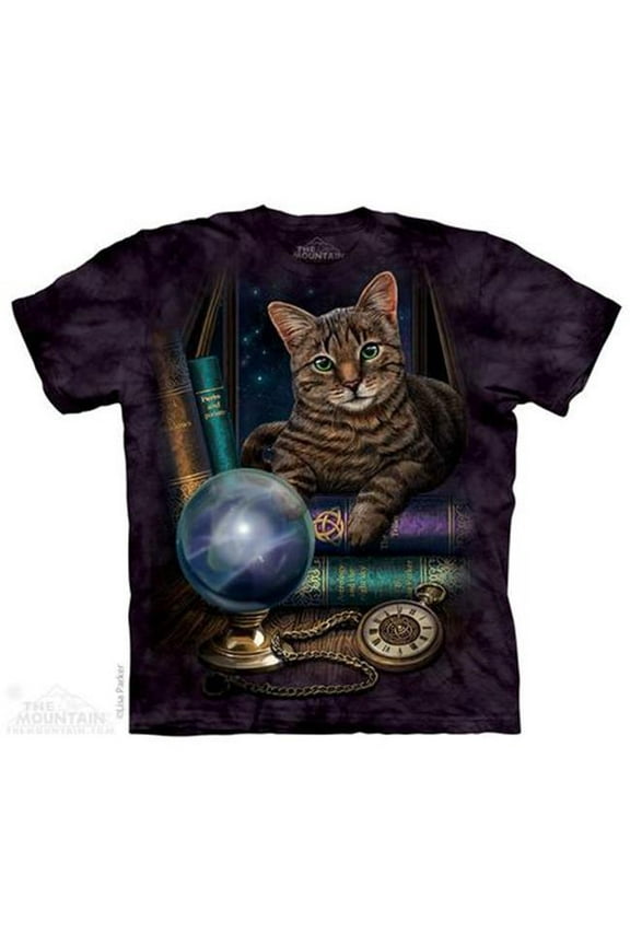 1042464 The Fortune Teller Adult T-Shirt, Purple - 2XL