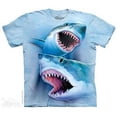 thumbnail image 1 of Mountain 8542680 Great White Sharks Mens T-Shirt, Small, 1 of 1