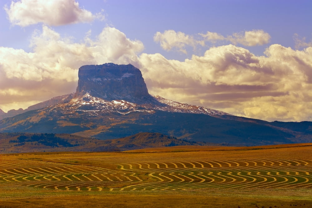 Mountain And Farmers Field Canvas Art - Don Hammond Design Pics (34 x 22)
