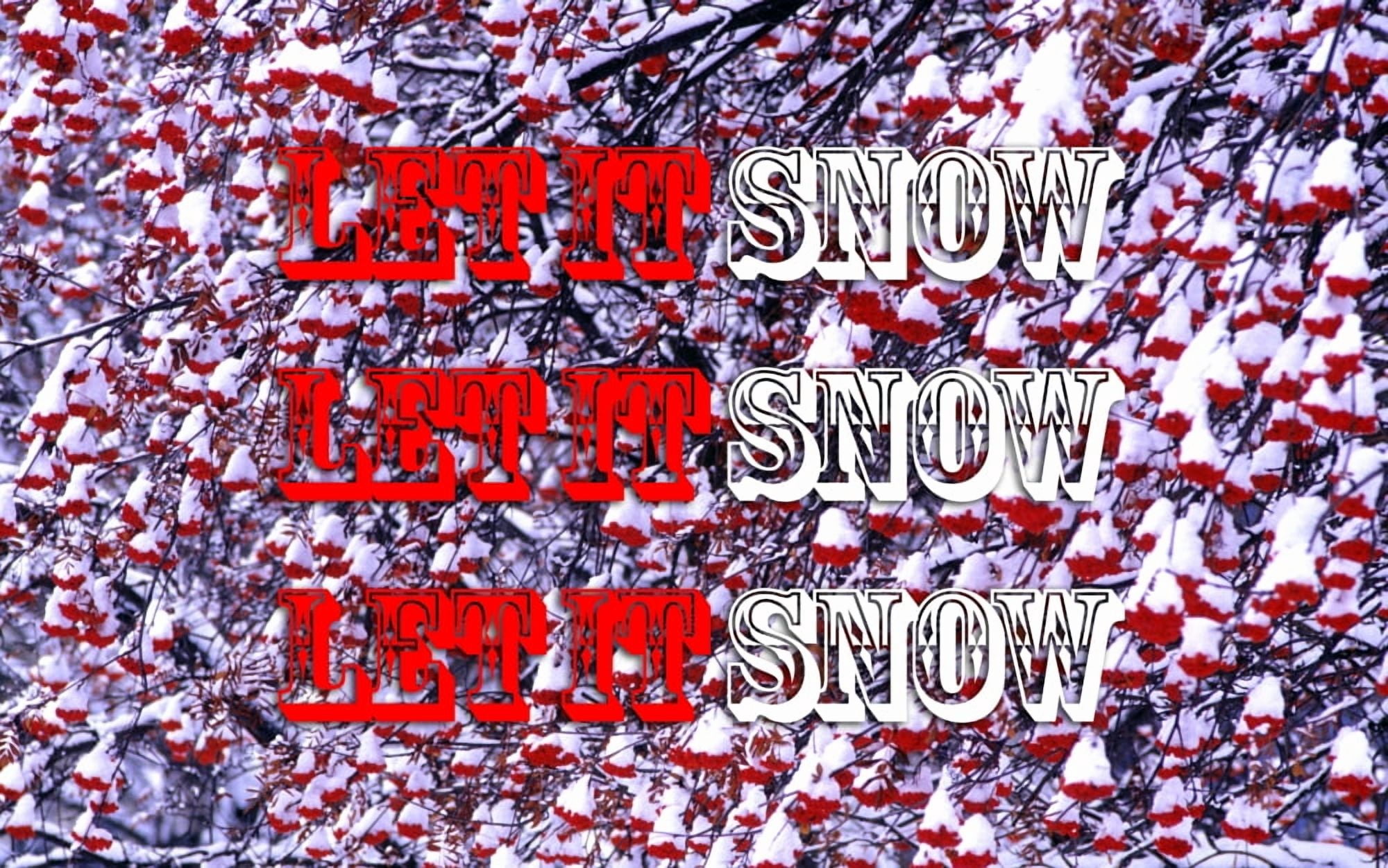 Mountain Ash Tree and berries covered in freshly fallen snow in Whitefish Montana Canvas Art - Chuck Haney Danita Delimont (17 x 10)