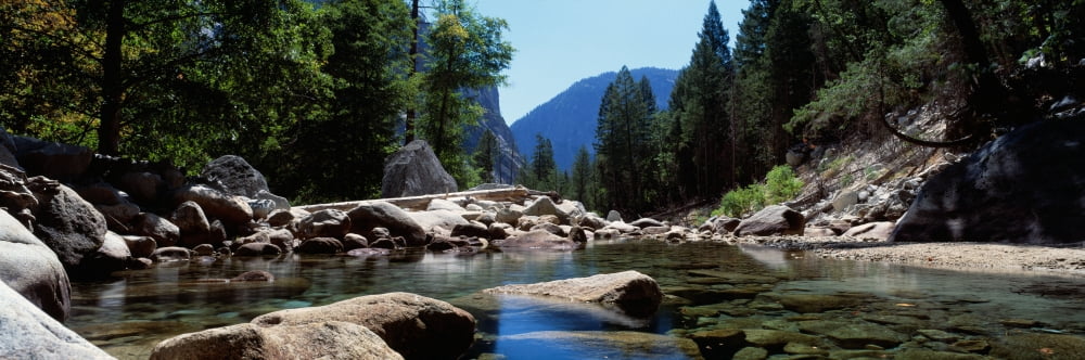Mountain Behind Pine Trees Tenaya Creek Yosemite National Park California USA Canvas Art - Panoramic Images (36 x 12)